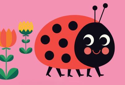 Where's Mrs Ladybird?