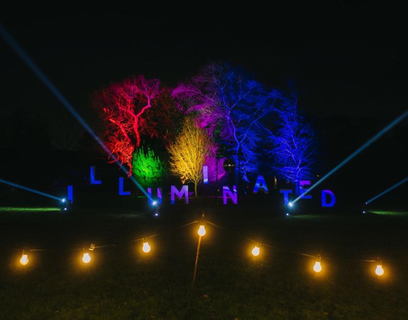 Stockwood Illuminated